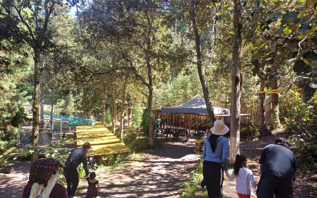 Escapa a la Naturaleza y Relájate en las Piscinas Termales de Lomas de Tarragona