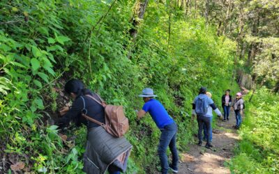 Cómo Organizar una Excursión Escolar Inolvidable en Lomas de Tarragona 🎒🌿